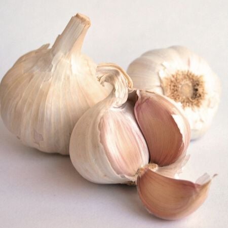 Aglio Rosso, Garlic Bulbs - 1/4 Pound image number null